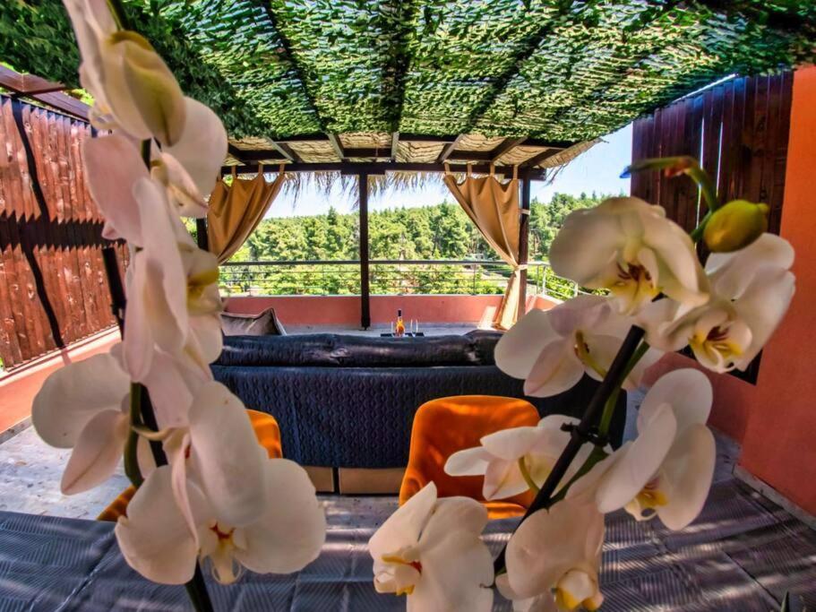 Deluxe Sani Relax Villa 外观 照片